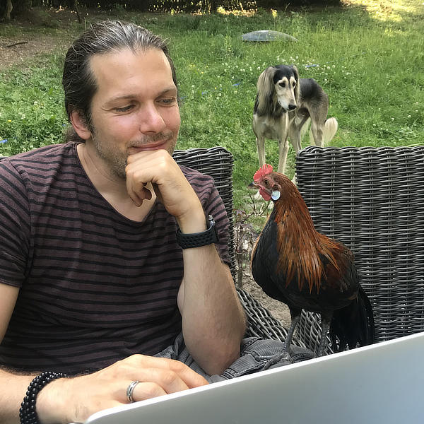 Phönix-Huhn neugierig auf dem Garten-Stuhl
